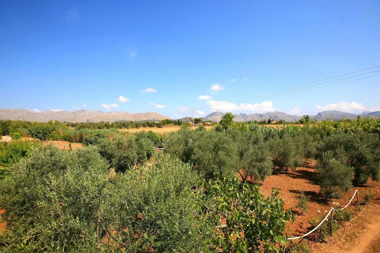 Villa Martin Morillo Pollença